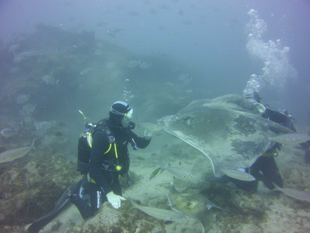  Interaction with rays